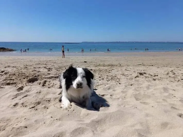 Vacances Face A La Mer! Guidel France